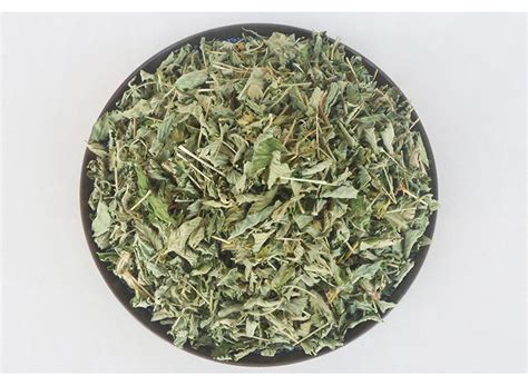 脱力草图片