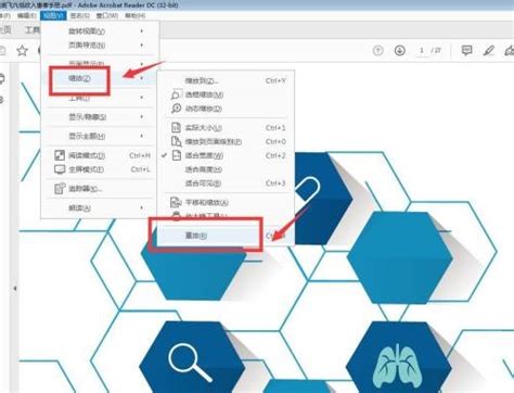 Adobe Acrobat Reader DC怎么设置重排-设置重排的方法 - A软下载网