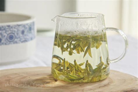 关于绿茶你了解多少？ - 知乎