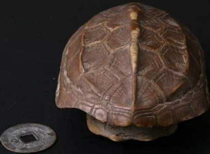 上古先民为什么如此崇拜“龟”？它象征了哪些哪些美好的寓意？_知秀网