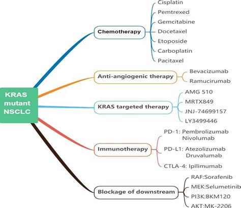 肠癌Kras基因突变与靶向治疗策略 - 知乎