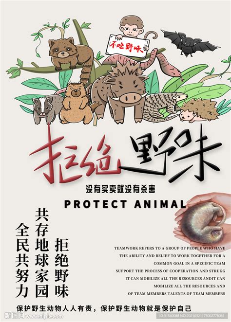 保护野生动物设计图__海报设计_广告设计_设计图库_昵图网nipic.com