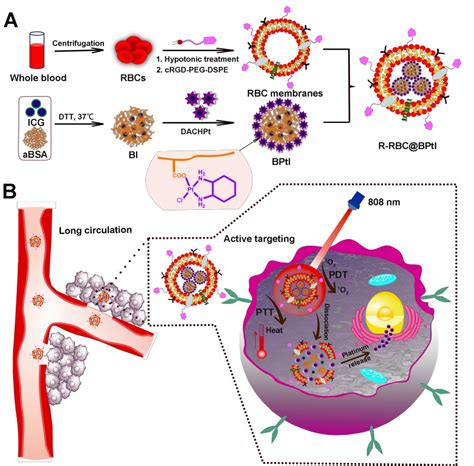 纳米药物递送系统：用于肿瘤化学免疫联合治疗的研究进展 - Nano-Micro Letters