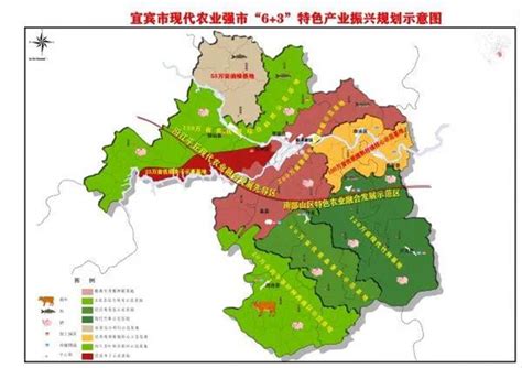 岳阳市城市整体规划咨询-岳阳网-岳阳新闻
