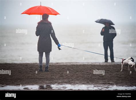 Hund Unter Regenschirm Stockfotos und -bilder Kaufen - Alamy