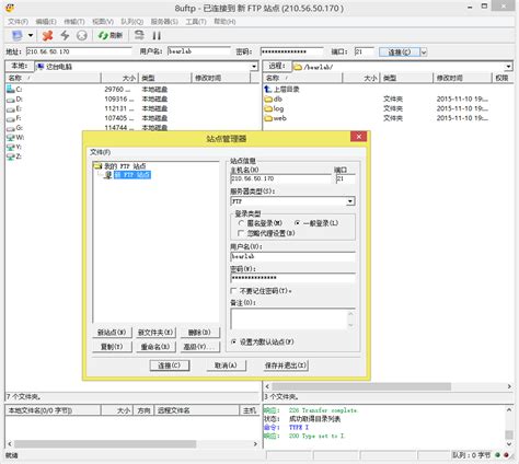 ASP.NET 小白从零开始建站简易教程 (一)域名、虚拟主机、FTP上传文件-CSDN博客