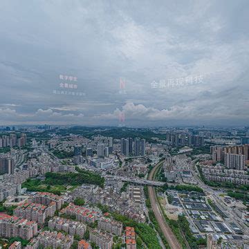 花卉批发市场316(2021年)-深圳龙岗-全景元宇宙