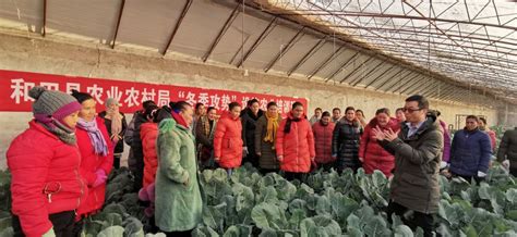 河南省专业技术人员公共服务平台 找到专业技术人员一行点击登录