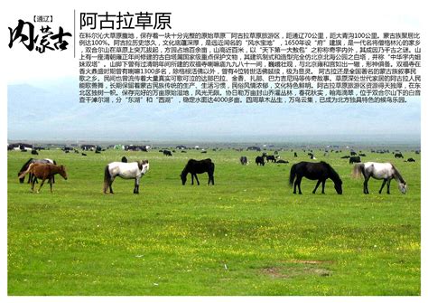 内蒙古十大度假村排名-岱海上榜(草原天池)-排行榜123网