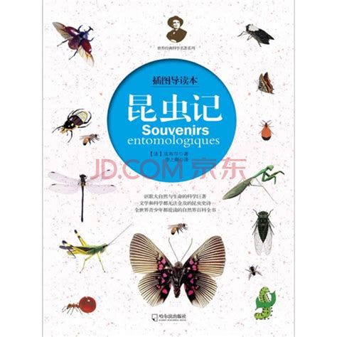 昆虫记1—29章阅读感悟100字-《昆虫记》每章阅读感想 - 图画校园 - 华网