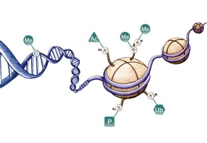 基因编辑技术的前世今生，一文带你读懂基因编辑技术_代理香港验DNA-先知基因