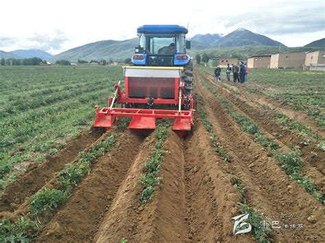 甘孜县拖坝乡马铃薯种植全程机械化 藏地阳光新闻网