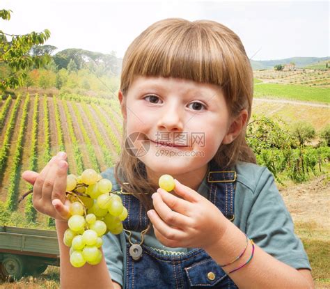 女孩在葡萄园里吃葡萄高清图片下载-正版图片304246683-摄图网