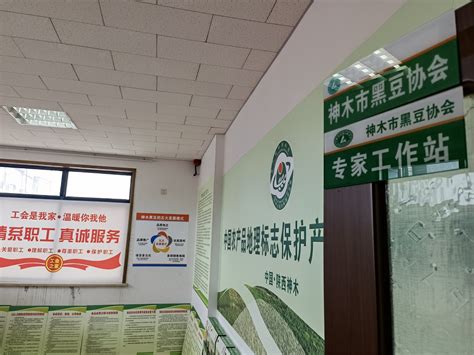 神木黑豆产业迈上高质量发展新时代_中国农科新闻网