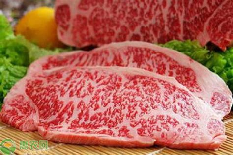 日本神户雪花牛肉多少钱一斤？神户雪花牛肉为何那么贵？ - 惠农网
