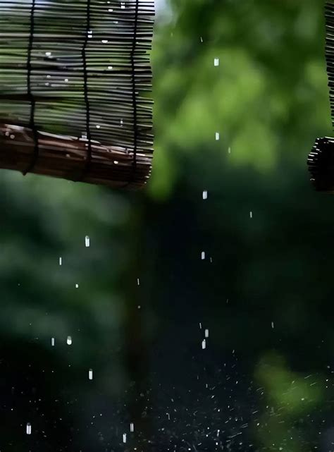 诗词 | 夏日听雨：几回听雨疏帘坐，消得人间一味凉 - 日志 - 丁香雨 - 书画家园