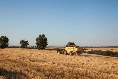 麦收进度过三成 “三夏”大规模小麦机收全面展开