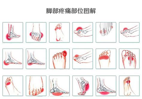 脚背部位图解图片