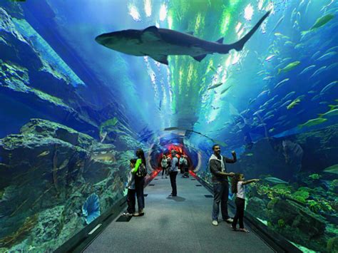 2021天津海昌极地海洋公园-旅游攻略-门票-地址-问答-游记点评，天津旅游旅游景点推荐-去哪儿攻略