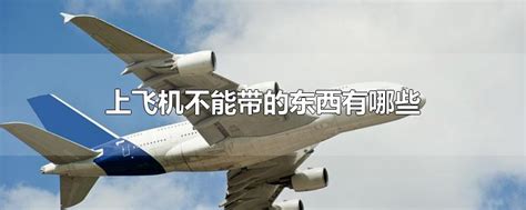 飞机安检什么不能带（坐飞机不能带的物品清单）-蓝鲸创业社