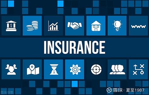 互联网保险和传统保险的区别有哪些？哪种方式投保保险比较可靠？ - 奶爸保