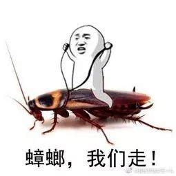 非主流蟑螂妹头像