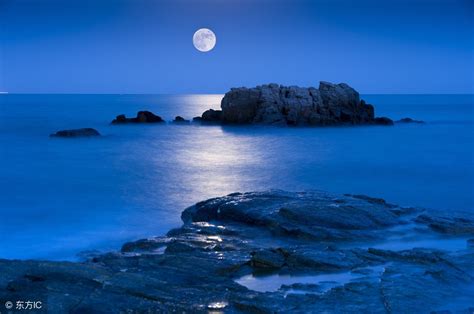 精读《唐诗三百首》055：海上生明月，天涯共此时