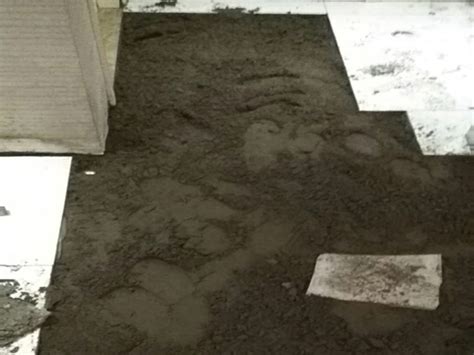 素水泥浆和素水泥砂浆的区别 - 装修保障网