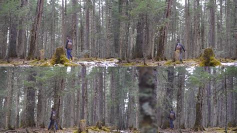 冬季森林有人走过的痕迹图片-人行道冬景素材-高清图片-摄影照片-寻图免费打包下载