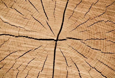 湿桃木防裂处理 防止木头开裂药剂 新木料怎样处理防裂
