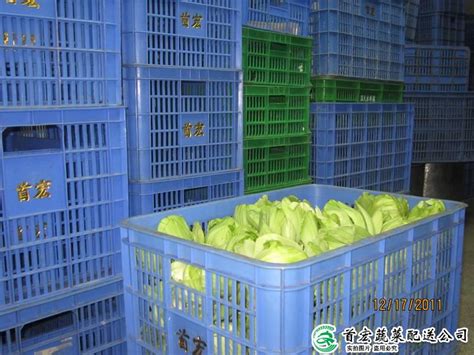 开启蔬菜配送生意的成功之路 (32 characters) -广州首宏蔬菜配送