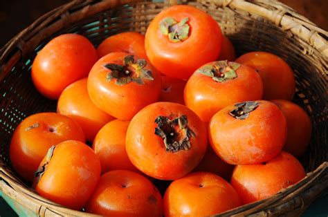 秋季成熟的柿子高清图片下载-正版图片600340907-摄图网