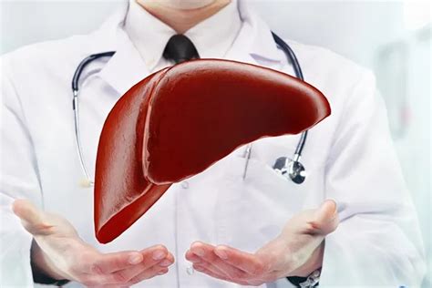 如果肝脏可以再生，那么肝硬化的病人为什么不能通过切除部分肝脏来治疗？ - 知乎