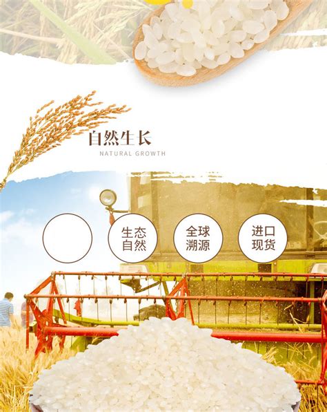 玉满田珍珠米50斤东北大米25kg批发黑龙江粳米供餐饮食堂厂家直销-阿里巴巴