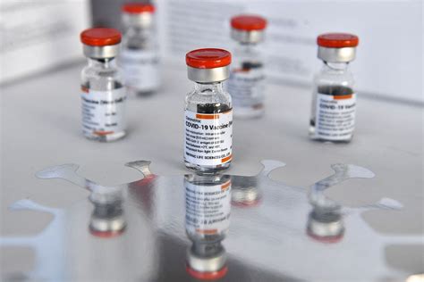 美媒：中国承载全球疫苗供应希望_张家口新闻网
