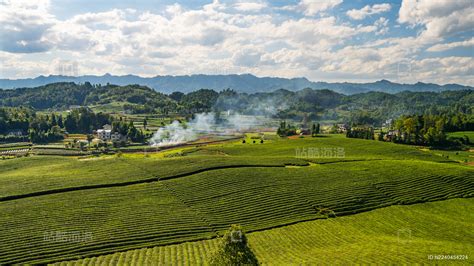 【新中国从这里走来】贵州湄潭 发展茶旅文化 打造美丽乡村 _ 图片中国_中国网