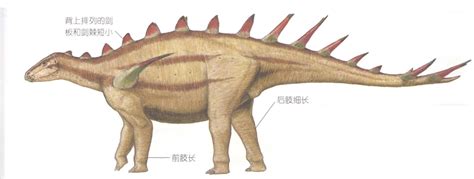 叉龙(Dicraeosaurus）三维模型 - 动物3D下载-打造最全最好的动物3D模型下载网。 - 三维模型下载网—精品3D模型下载网