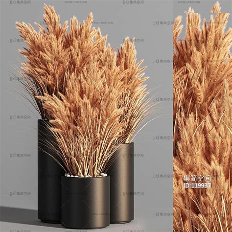 现代芦苇干花盆栽3d模型下载-【集简空间】「每日更新」