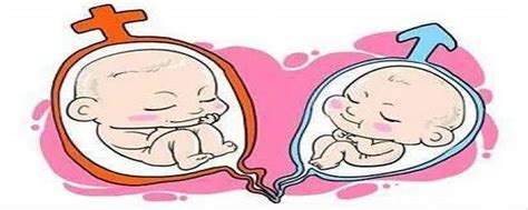 双胎绒毛膜性和卵子性的区别 - 微医（挂号网）