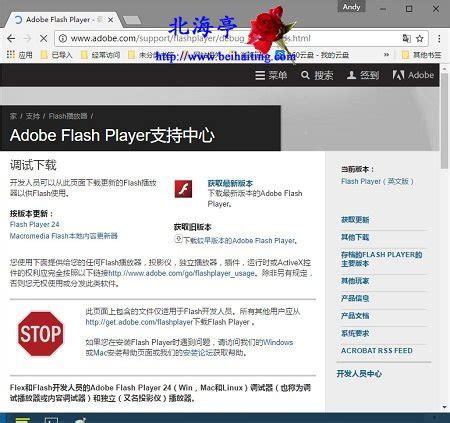 Chrome浏览器提示Adobe Flash Player已过期怎么办?_北海亭-最简单实用的电脑知识、IT技术学习个人站