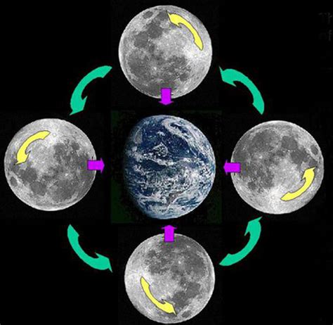 地球自转和公转一圈分别是一天和一年，月亮自转和公转时间却相等|月球|公转|地球_新浪新闻