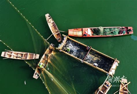 生态养殖 渔民增收 - 资讯 - 新湖南