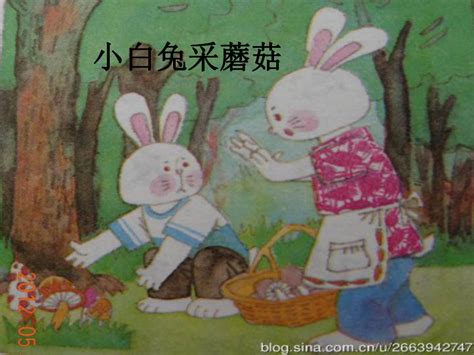 小白兔采蘑菇——趣味童年 - 我的作文 - 趣味童年——紫色小雨
