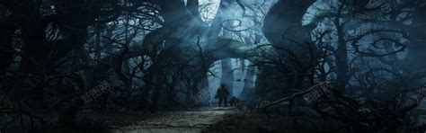 黑暗森林背景图片免费下载-素材0iVajjPga-新图网
