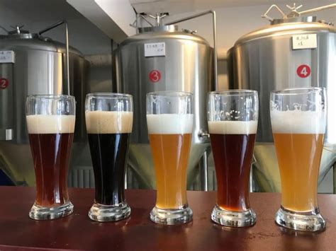 LG电子推出新型精酿啤酒机：酿造时间缩短至10天 - 黄河啤酒