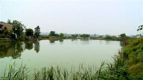 老河口：西排子湖国家湿地公园项目正式启动 _长江云 - 湖北网络广播电视台官方网站