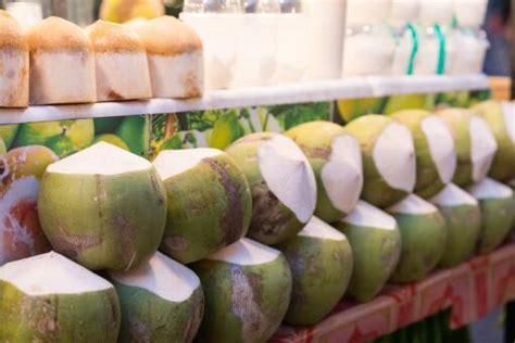 现在椰子多少钱一斤？三亚景区椰子卖到20元的原因是什么？ - 达达搜