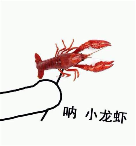 龙虾海鲜图图片-大龙虾与其它海鲜素材-高清图片-摄影照片-寻图免费打包下载