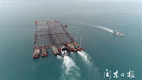 宁德：海上养殖低碳转型_福建新闻_新闻频道_福州新闻网