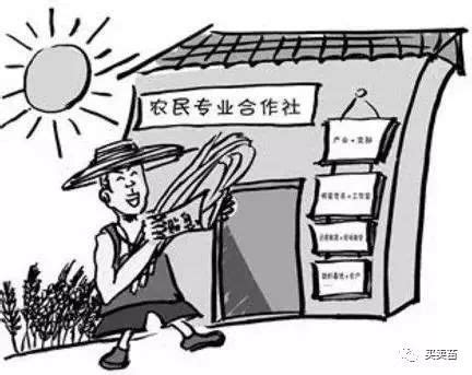 2018年7月1日起施行修订后的《中华人民共和国农民专业合作社法》，未来的合作社怎么赚钱？